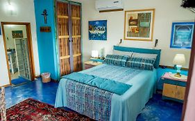 Majikal BnB Casa de los Xolos - Aqua